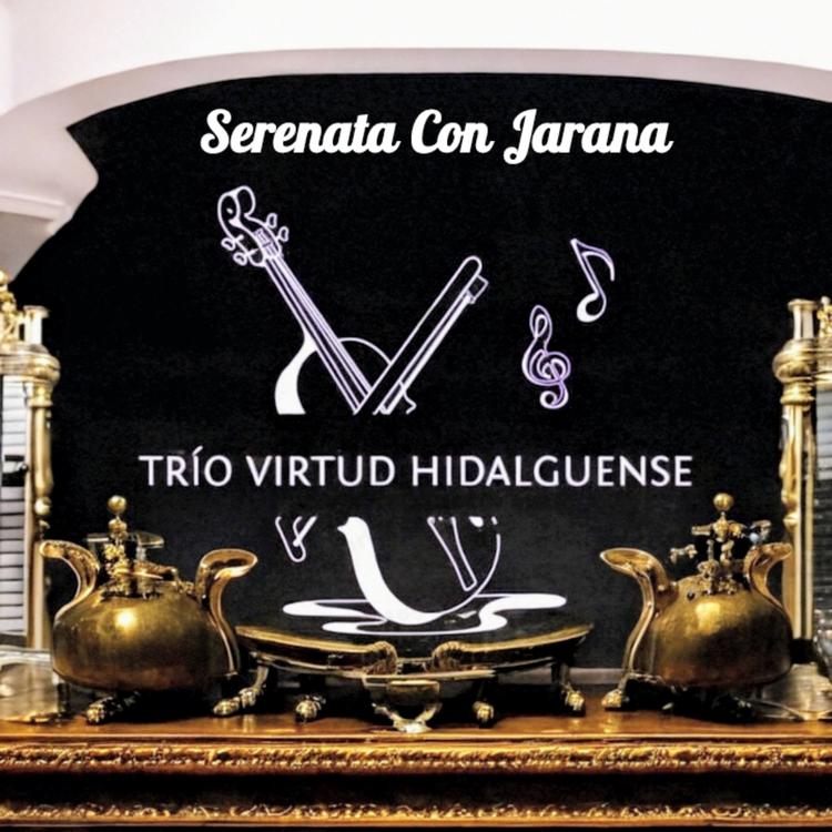 Trio Virtud Hidalguense's avatar image