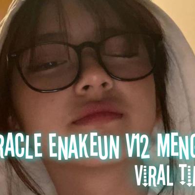 Dj Miracles V12 Mengkane (INS)'s cover