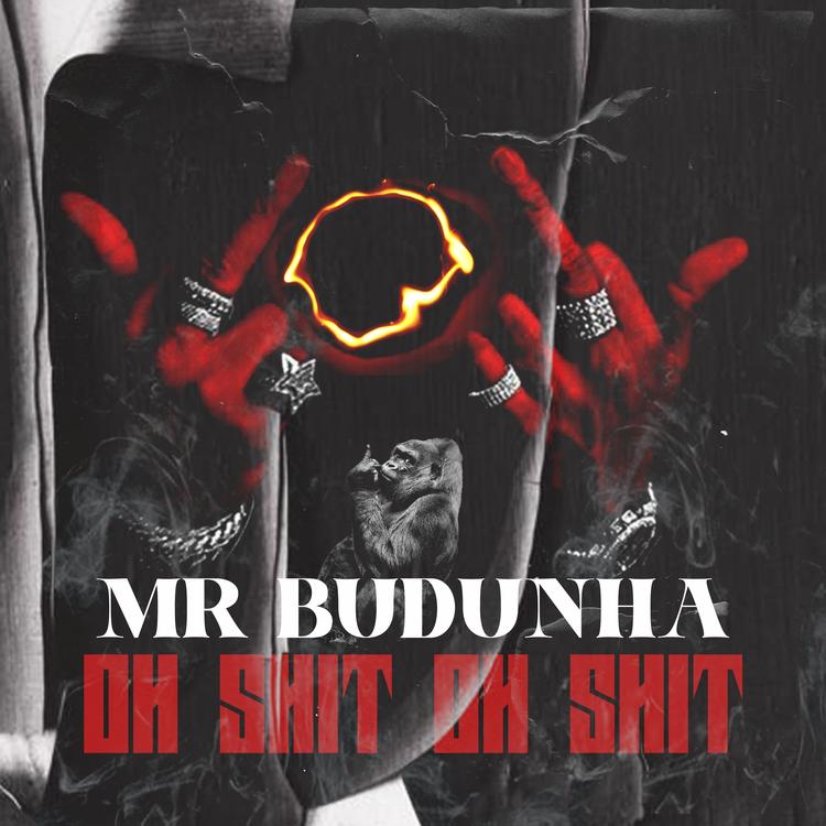 Mr Budunha's avatar image