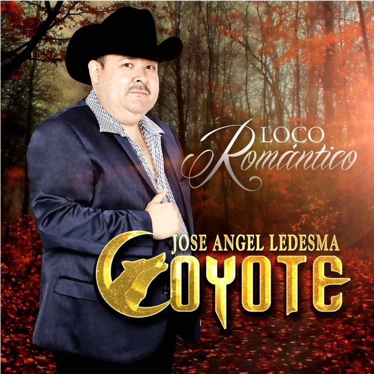 Jose Angel Ledesma Coyote's avatar image