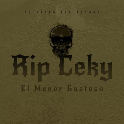 Rip Ceky's cover