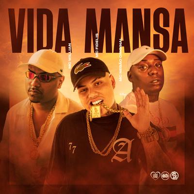 Vida Mansa's cover