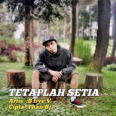 Tetaplah Setia's cover