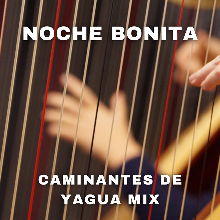 Caminantes De Yagua Mix's avatar image