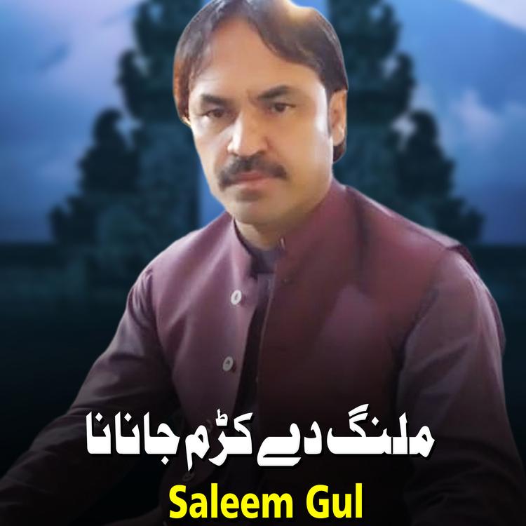 Saleem Gul's avatar image