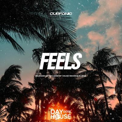 Feels By Cubfonic, Franko Keys, Bass Motions's cover