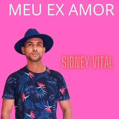 Meu Ex Amor (Remix)'s cover