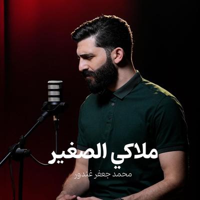 محمد جعفر غندور's cover