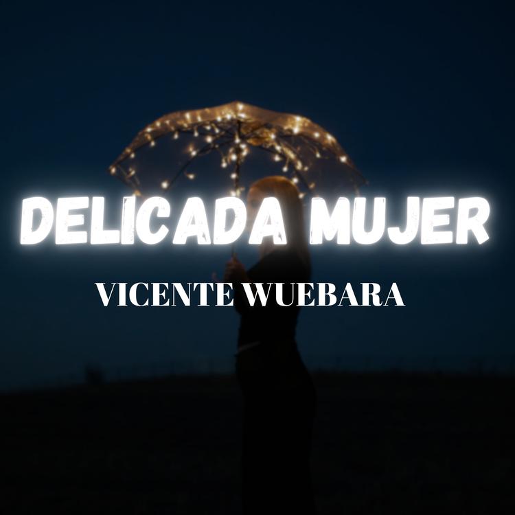 Vicente Webara's avatar image