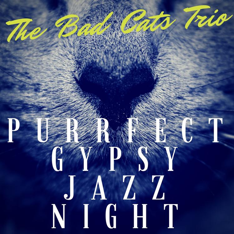 The Bad Cats Trio's avatar image