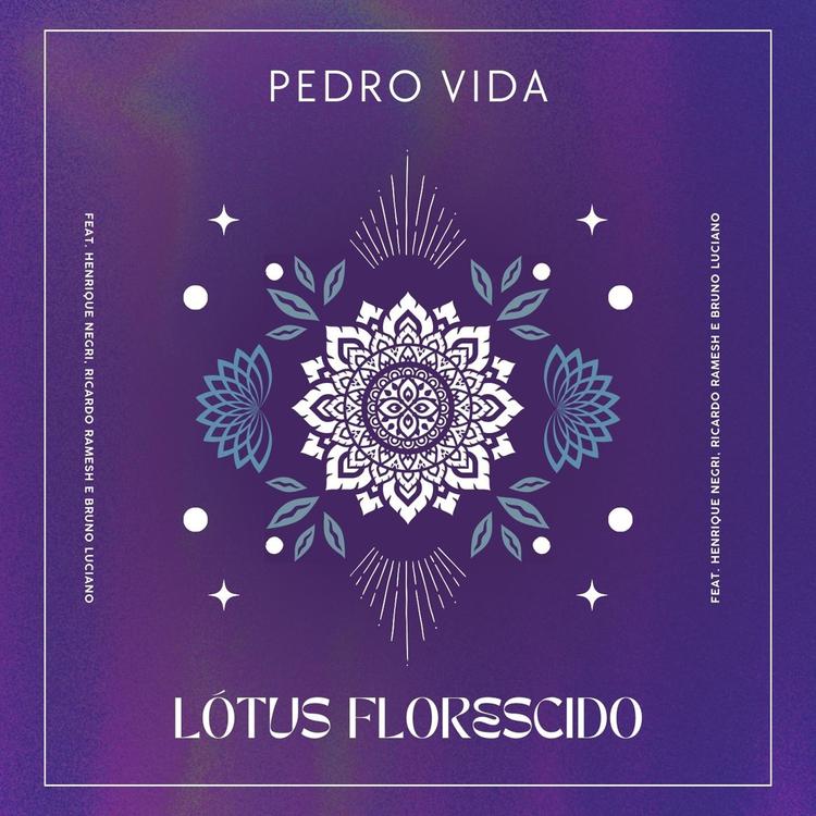 Pedro Vida's avatar image