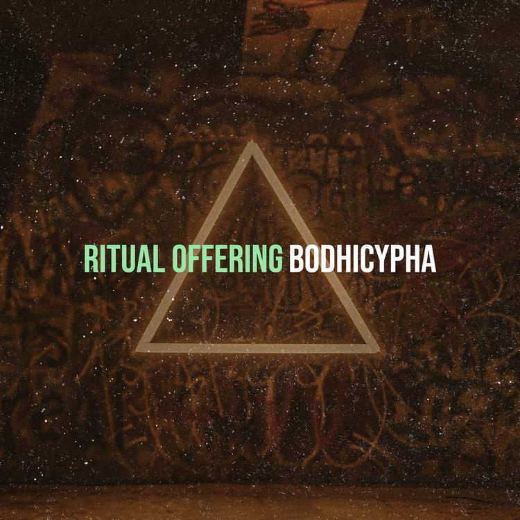 Bodhicypha's avatar image