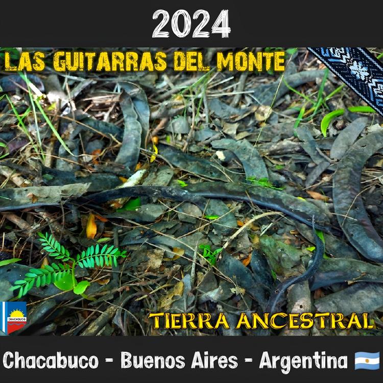 Las Guitarras Del Monte's avatar image