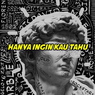 Hanya Ingin Kau Tahu (Remix)'s cover