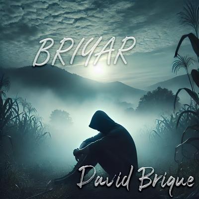 David Brique's cover