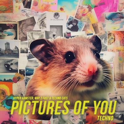 Pictures Of You (Hypertechno) By Hyper Hamster, Way 2 Fast, Techno Cats's cover