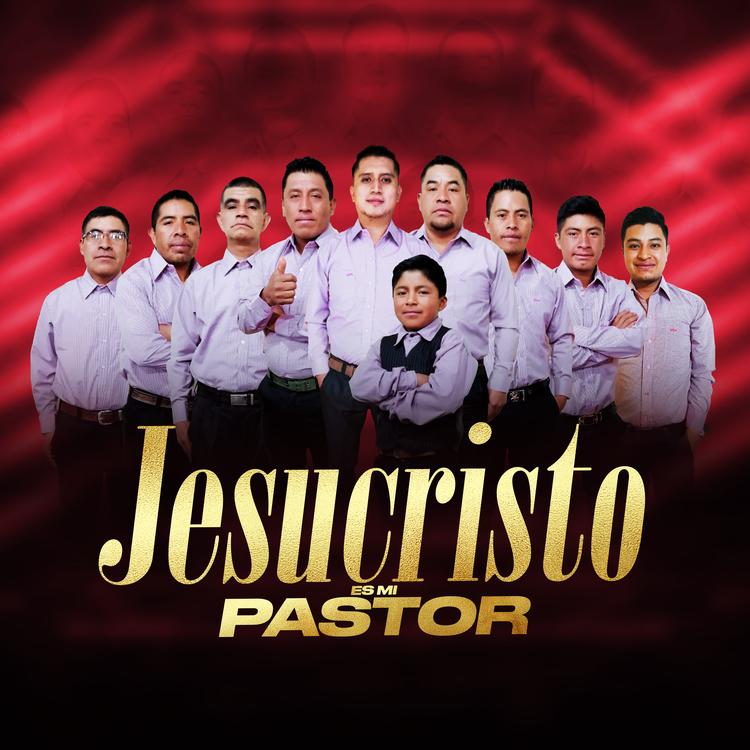Jesucristo es mi Pastor's avatar image