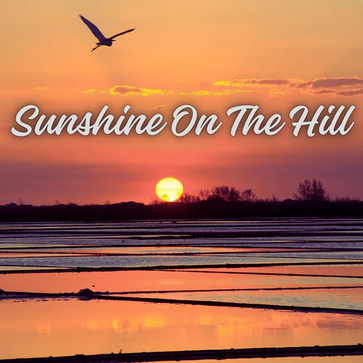 Sunshine On The Hill's avatar image