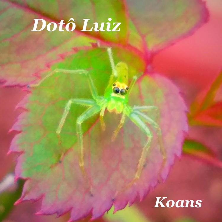 Dotô Luiz's avatar image