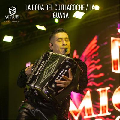 Miguel Godoy y Sus Guepardos's cover