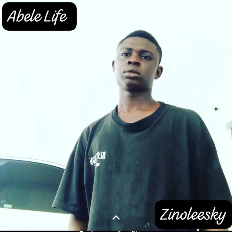 Abele Life's avatar image