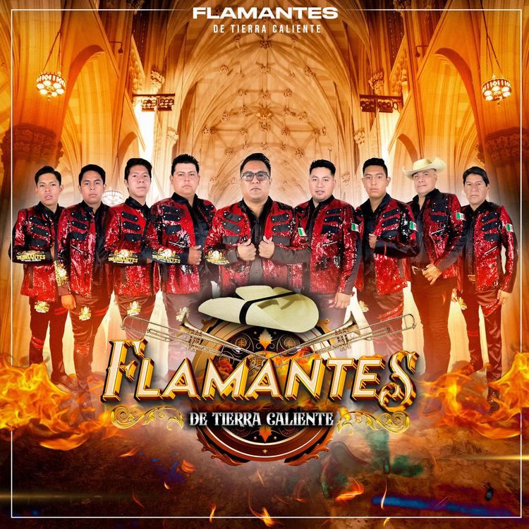 Flamantes de Tierra Caliente's avatar image