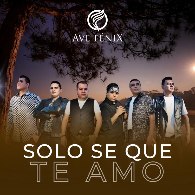 AVE Fenix's avatar image