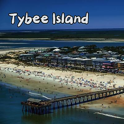 Tybee island's cover