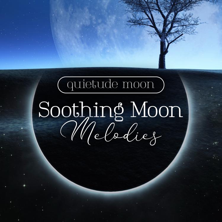 quietude moon's avatar image