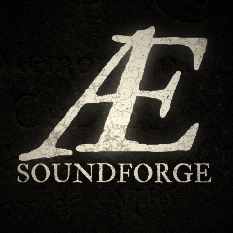 A&E SoundForge's avatar image