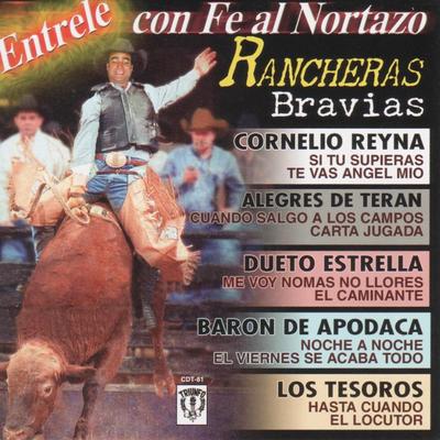 Entrele Con Fe Al Nortazo Rancheras Bravias's cover