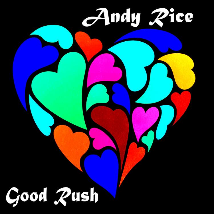 Andy Rice's avatar image