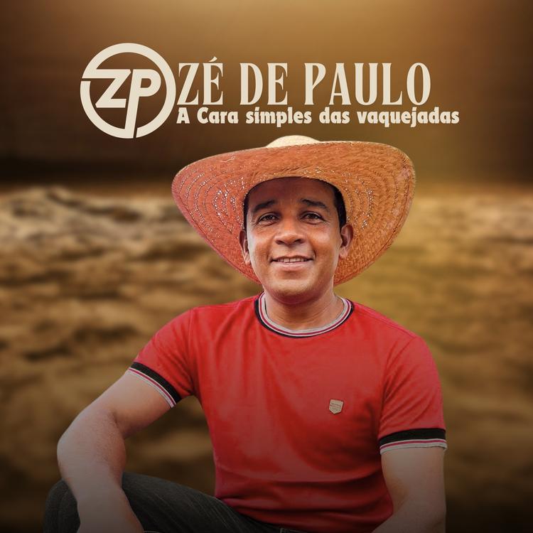 ZÉ DE PAULO's avatar image