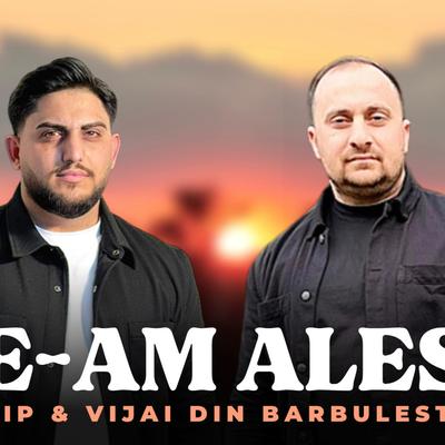 Te-am ales's cover