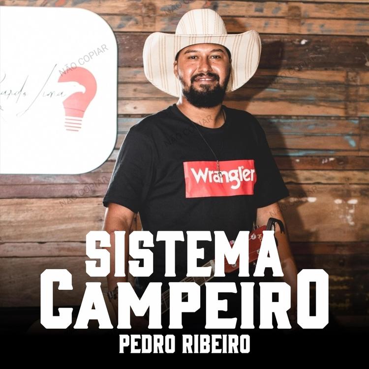 Pedro Ribeiro's avatar image