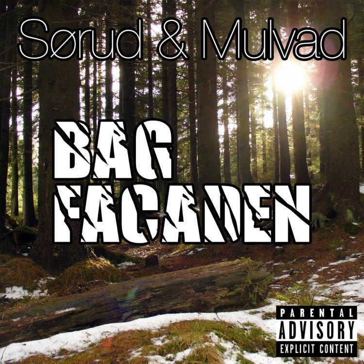 Sørud & Mulvad's avatar image