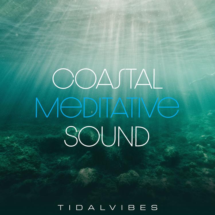 tidalvibes's avatar image