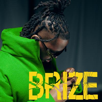 Brize's cover