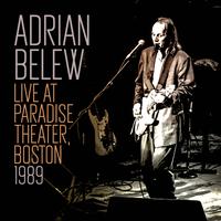Adrian Belew's avatar cover