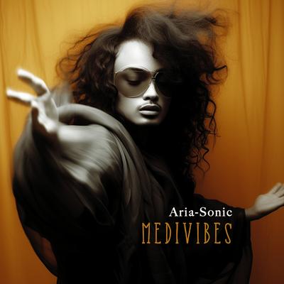 Aria-Sonic's cover