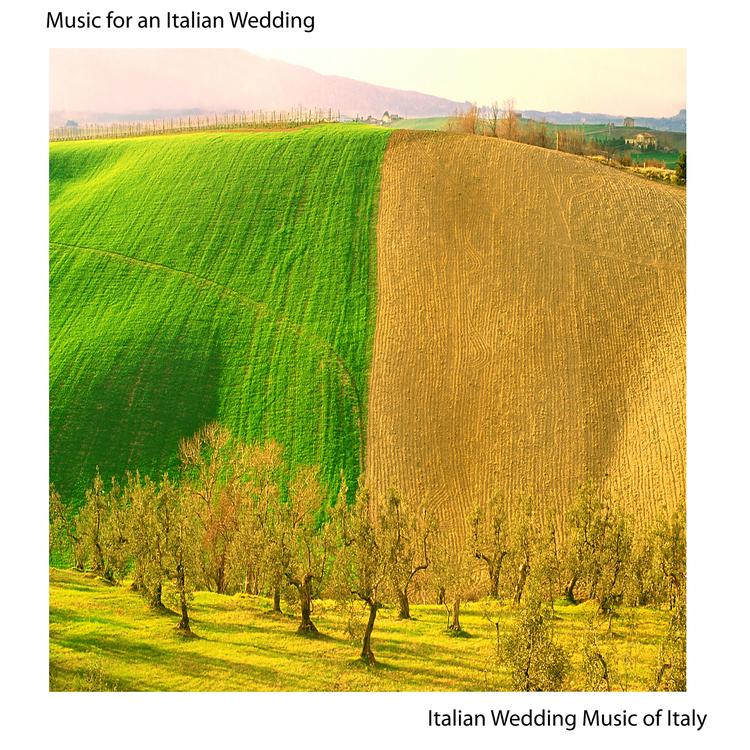 Italian Wedding Music of Italy's avatar image