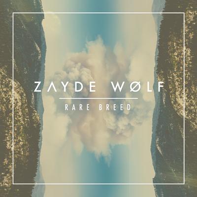 New Blood By Zayde Wølf's cover