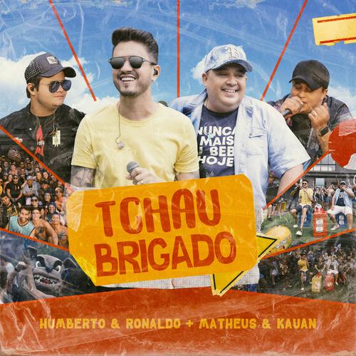 Tchau Brigado (Ao Vivo)'s cover
