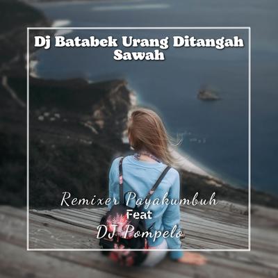 Dj Batabek Urang Ditangah Sawah's cover