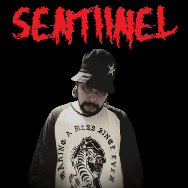 SENTIINEL's avatar image