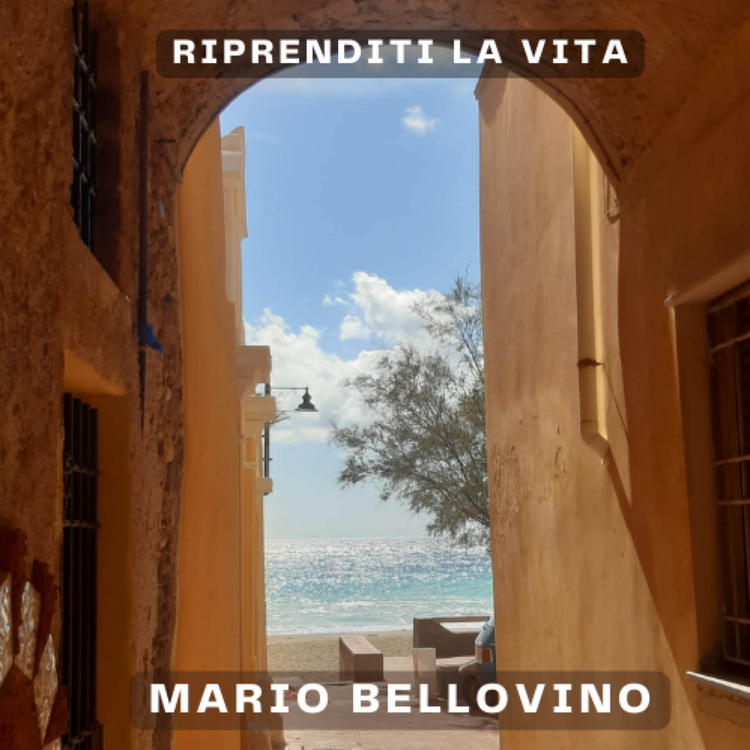 Mario bellovino's avatar image