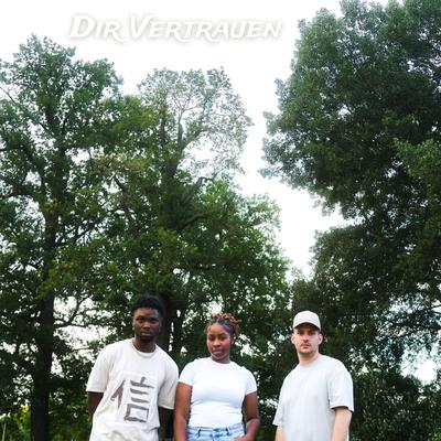 Dir Vertrauen's cover