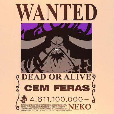 Cem Feras By Neko Music's cover