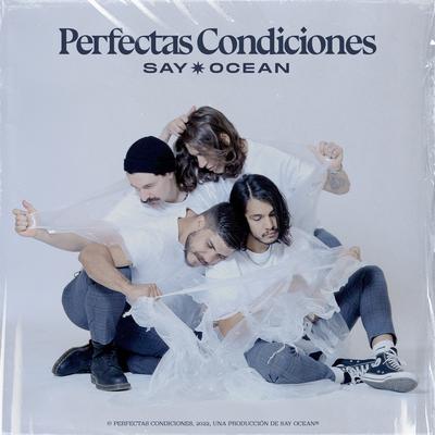 Perfectas Condiciones's cover