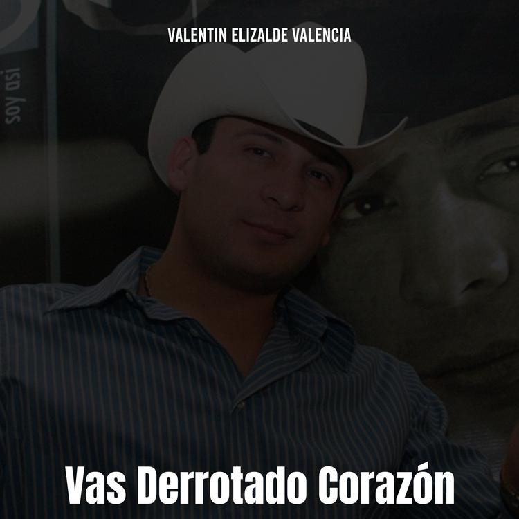 Valentin Elizalde Valencia's avatar image